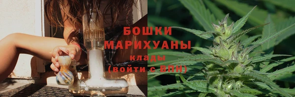 дмт Богданович
