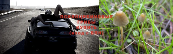 бошки Богородск