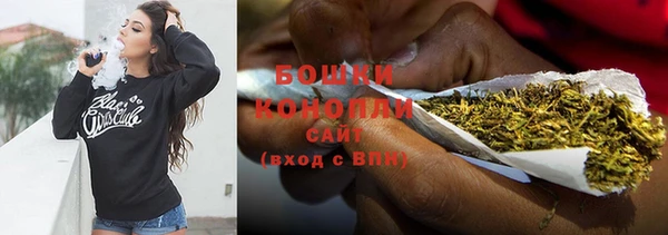 дмт Богданович