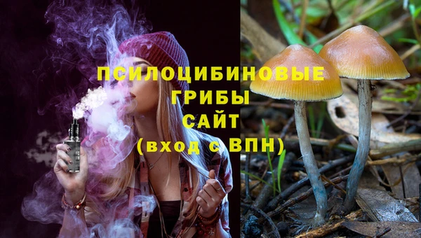 mdpv Бородино