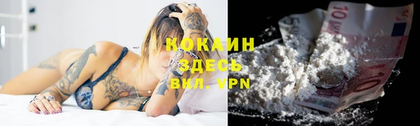 дмт Богданович