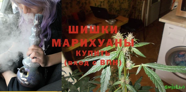 дмт Богданович