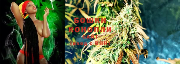 молекула духа Бугульма