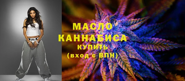 mdpv Бородино