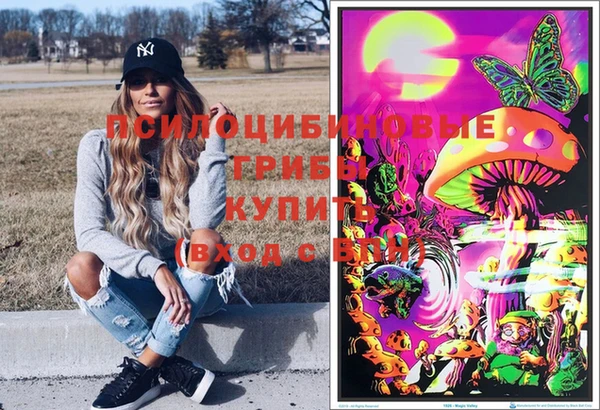 дмт Богданович