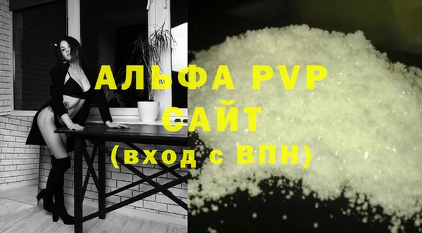 дмт Богданович
