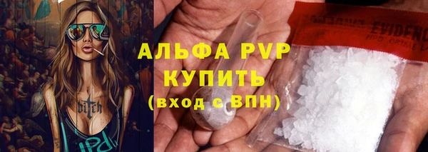 дмт Богданович