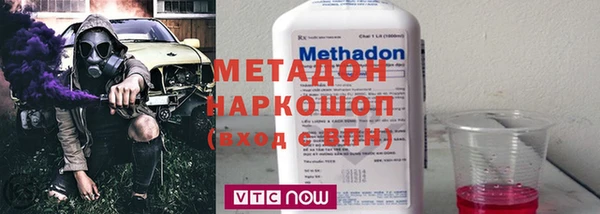 дмт Богданович