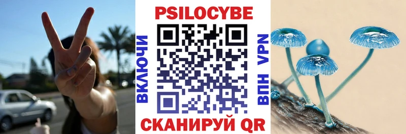 Псилоцибиновые грибы Cubensis  Будённовск 